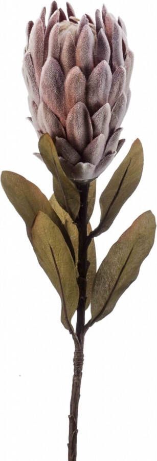 Woonexpress Kunstbloem Protea Bruin Polyester Bruin 62x0x0cm (hxbxd)