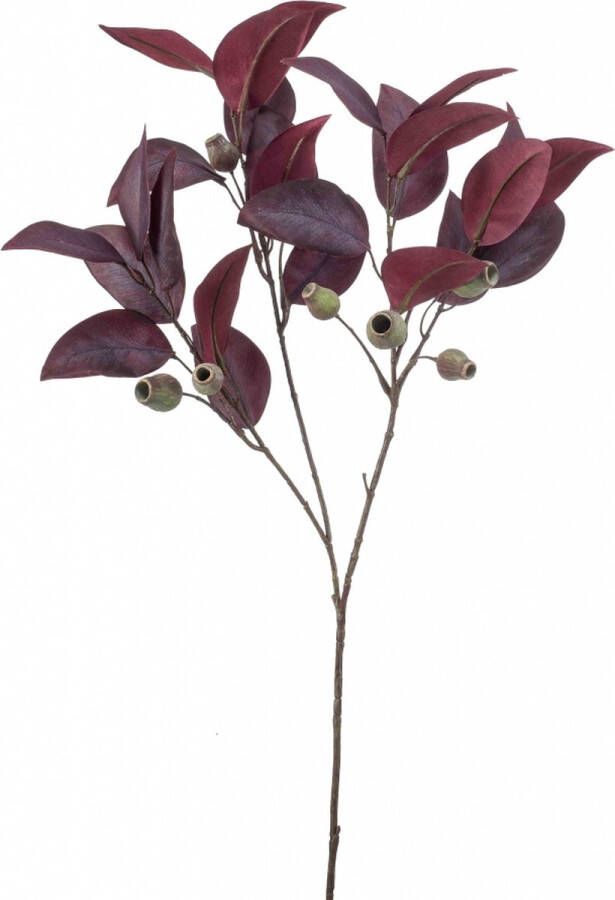 Emerald Fleurdirect Kunsttak Eucalyptus Polyester Rood 0 x 80 x 0 cm (BxHxD)