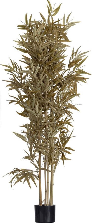 WOOOD Bamboe Kunstplant Bamboe Polyester Natural 150x84x84