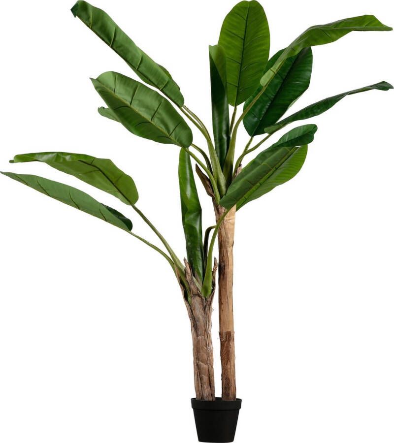 WOOOD Bananenplant Kunstplant Groen 97x138x95