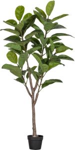 WOOOD Rubberboom Kunstplant 135 cm Plastic Groen 135x74x55