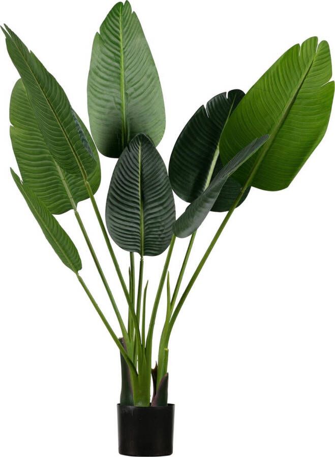 WOOOD Strelitzia kunstplant groen div afmetingen H 108 x B 61 x D 50 cm
