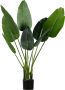 WOOOD Strelitzia kunstplant groen div afmetingen H 108 x B 61 x D 50 cm - Thumbnail 1