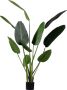 WOOOD Strelitzia Kunstplant Groen 96x164x63 - Thumbnail 1