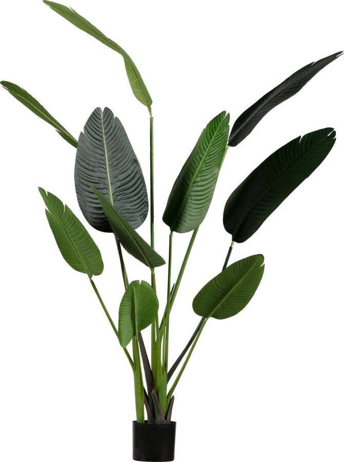 WOOOD Strelitzia Kunstplant Groen 96x164x63