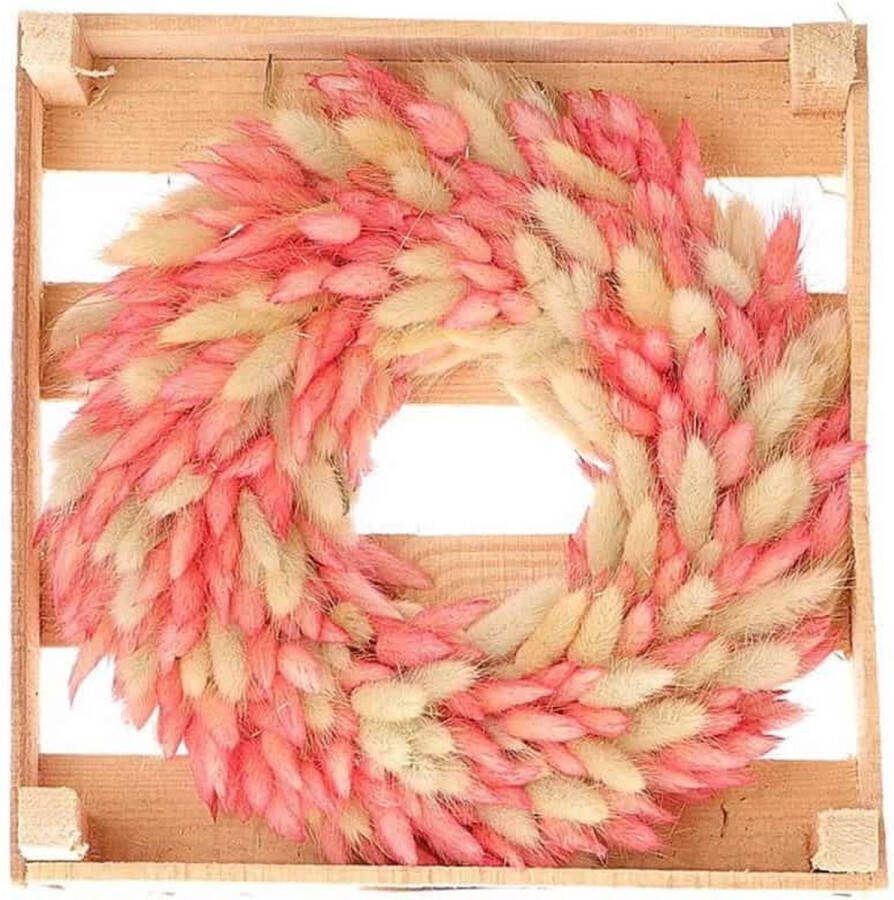 XCode Lagurus Krans Wit Roze Mix Droogbloemen Krans Droogbloemen Krans Lagurus