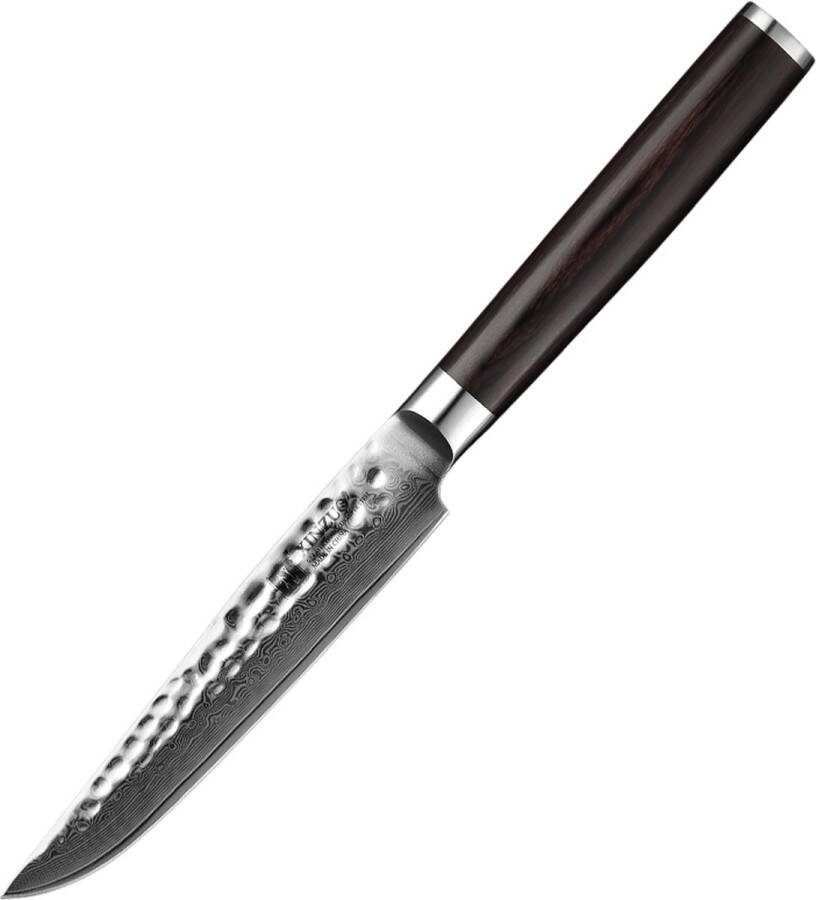 Xinzuo B1H Series – Steakmes – Professioneel – Gehamerd Damascus staal (67 laags met kern van 10Cr15CoMoV) – Vlijmscherp keukenmes – Inclusief geschenkdoos