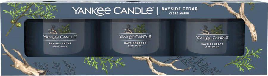 Yankee Candle geurkaars Bayside Cedar (set van 3)