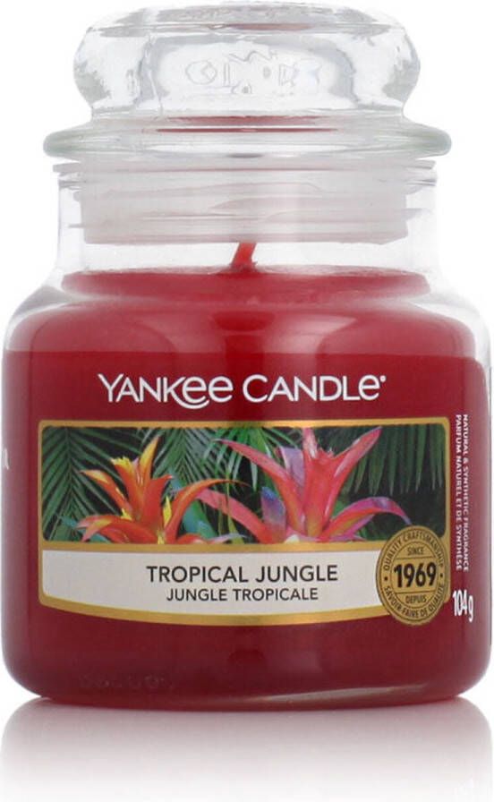 Yankee Candle Geurkaars Small Tropical Jungle 9 cm ø 6 cm
