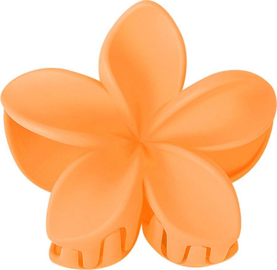 Yehwang haarklem bloem oranje zomers