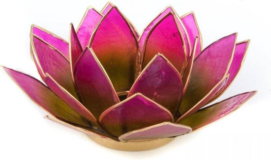 Yogi & Yogini Lotus Sfeerlicht Groen-Roze Tweekleurig