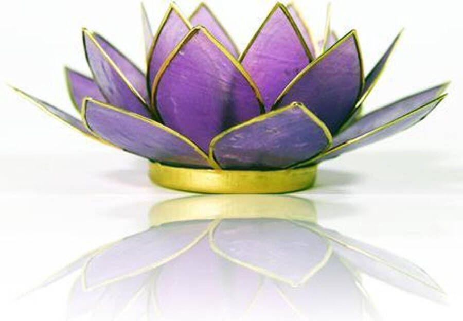Yogi & Yogini Lotus sfeerlicht lila goudrand 13.5 Schelp Licht paars Goudkleurig