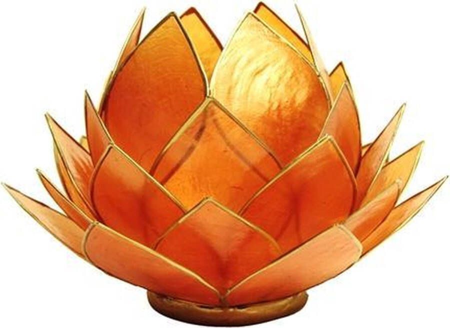 Yogi & Yogini Lotus sfeerlicht oranje goudrand groot 15x15 Schelp Oranje Goudkleurig S