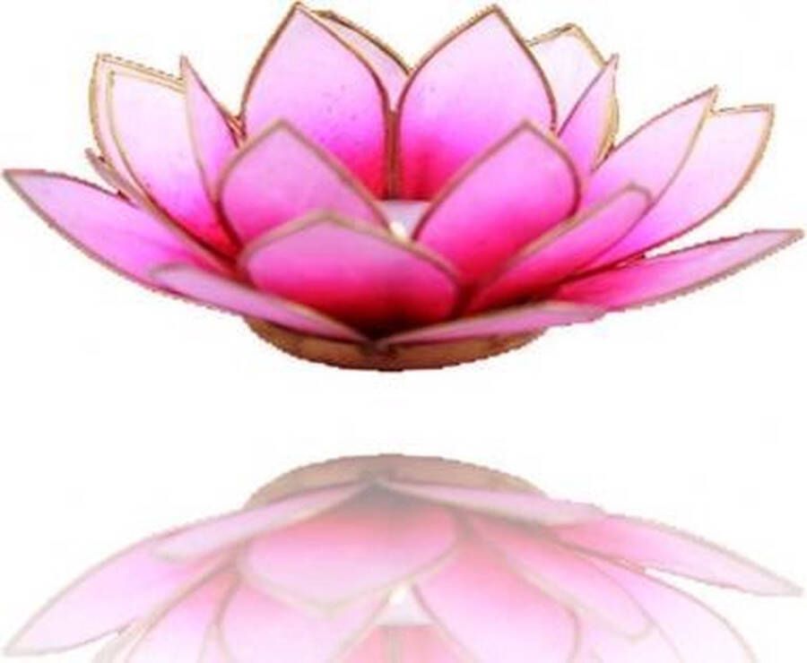 Yogi & Yogini Meditation Lotus sfeerlicht roze lichtroze goudrand 13.5 cm S
