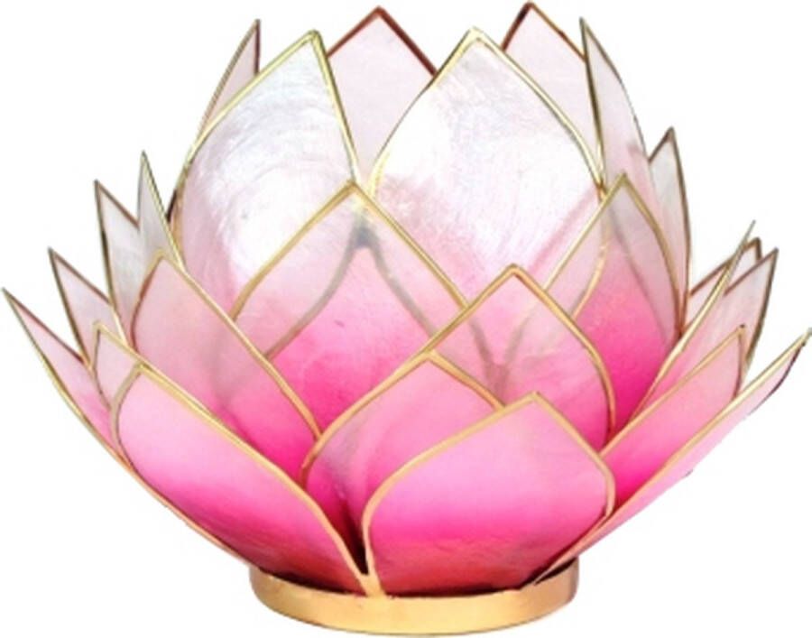 Yogi & Yogini Lotus sfeerlicht roze lichtroze goudrand groot 15x15 Schelp Roze Goudkleurig S