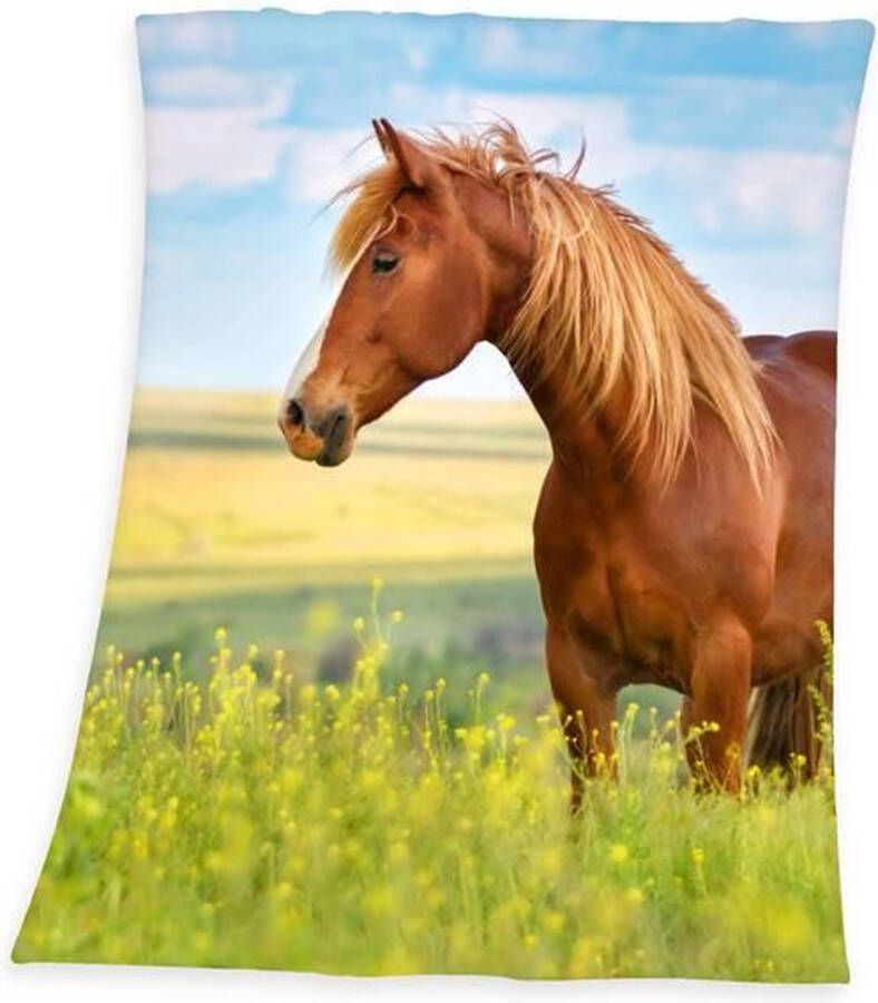 Merkloos Young Collection Horse Plaid 100% Polyester 130x160 Cm Multi
