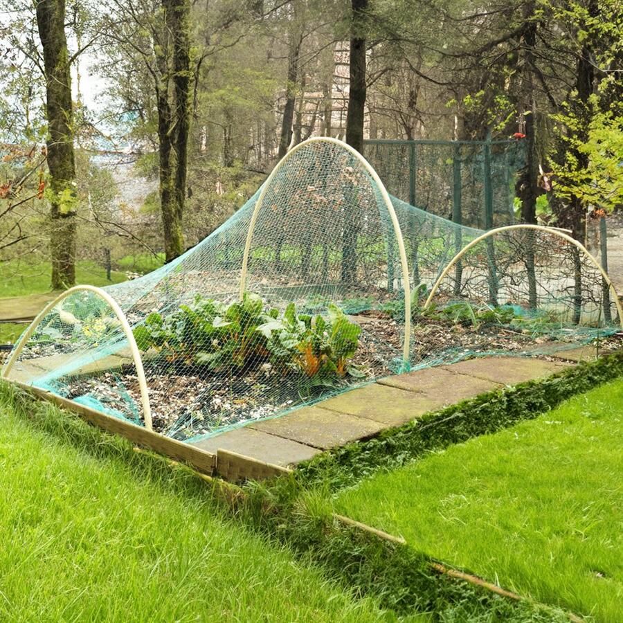 YUGN Vogelnet 5x4 m Anti vogel Net Groen Bird net Vogelnetten Tuinnet vogels Cadeautip