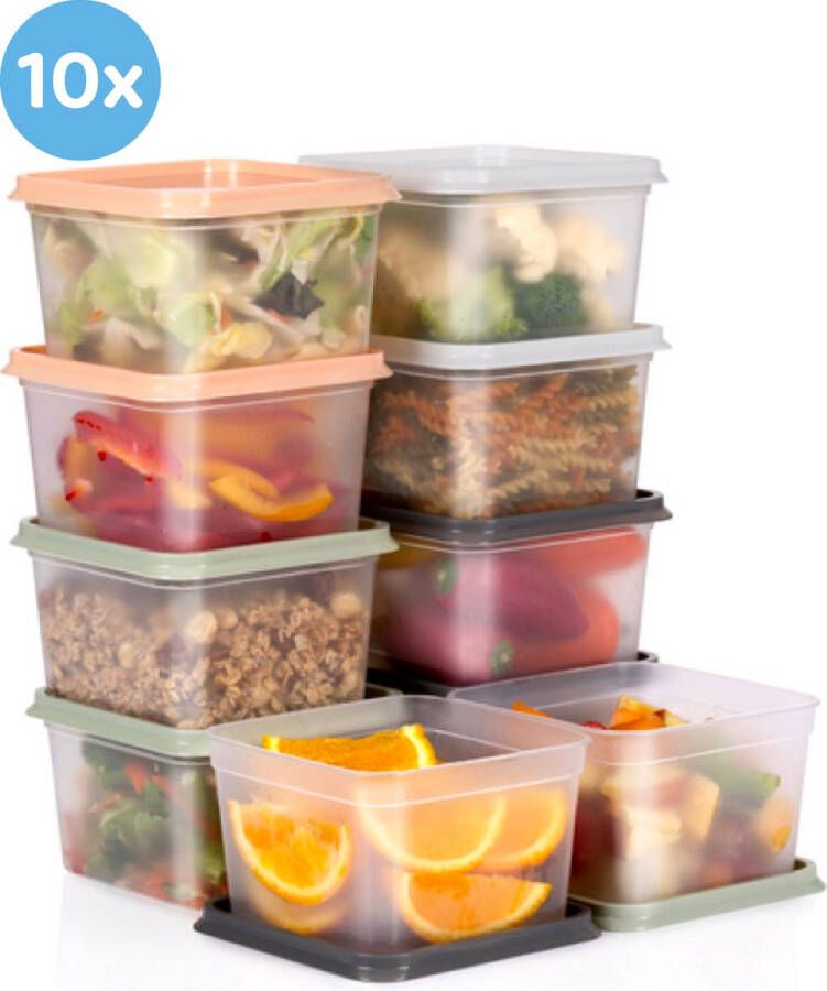 YUNICS Bewaar Dozen Set Food Containers Vers houd Bakjes Meal Prep Bakjes Plastic Diepvries Bakjes Lunchboks 20 Delig 750 ML