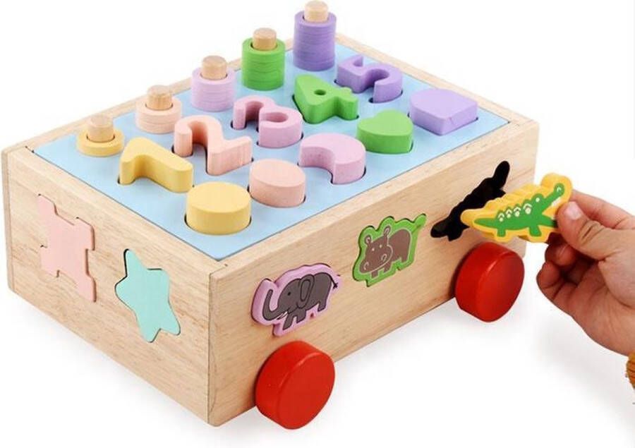 Zacia Toys Kleurrijke Vormenstoof Steekkubus Sorteerhuisje Educatief speelgoed Kinderen Puzzel Motoriek Vormherkenning en Concentratie