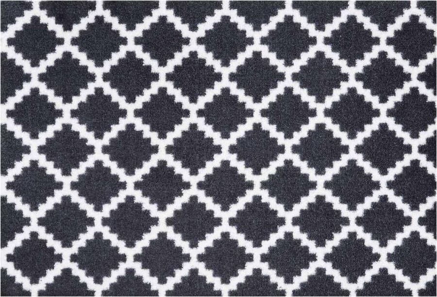 HANSE Home Mat Elegance deurmat Inloopmat binnen en buiten antislip weerbestendig deurmat