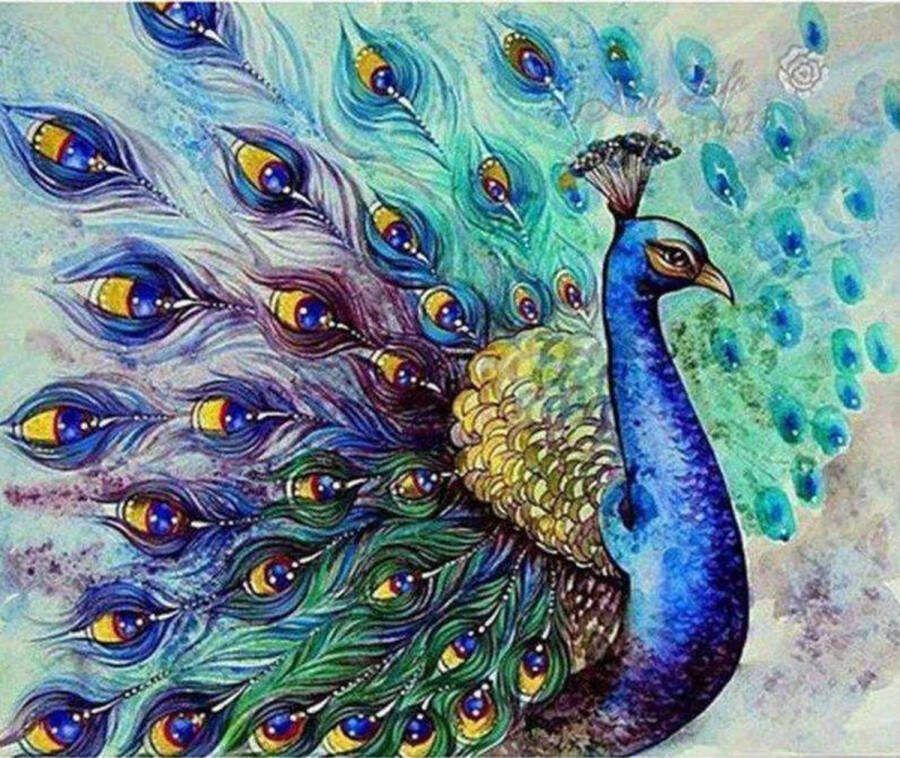 Zhui star Diamond Painting Pauw