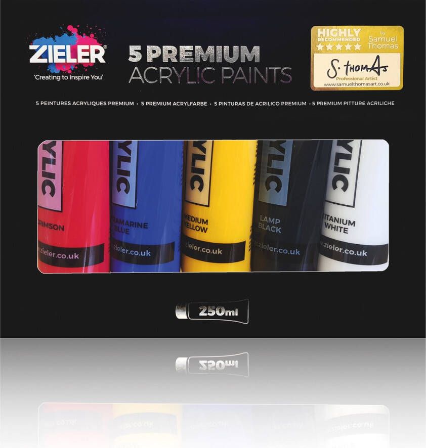 Zieler Premium Acrylverf Set van 5 Grote Acrylverf Tubes van 250 ml Levendige Acryl Verf Kleuren en Rijke Pigmenten Inclusief Startgids