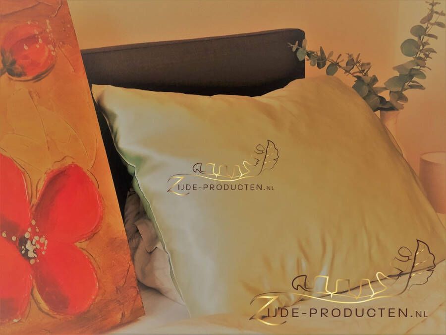 Zijden producten Zijden kussensloop 100% moerbei zijde kwaliteit 19 Momme. Kleur beige maat 60x70