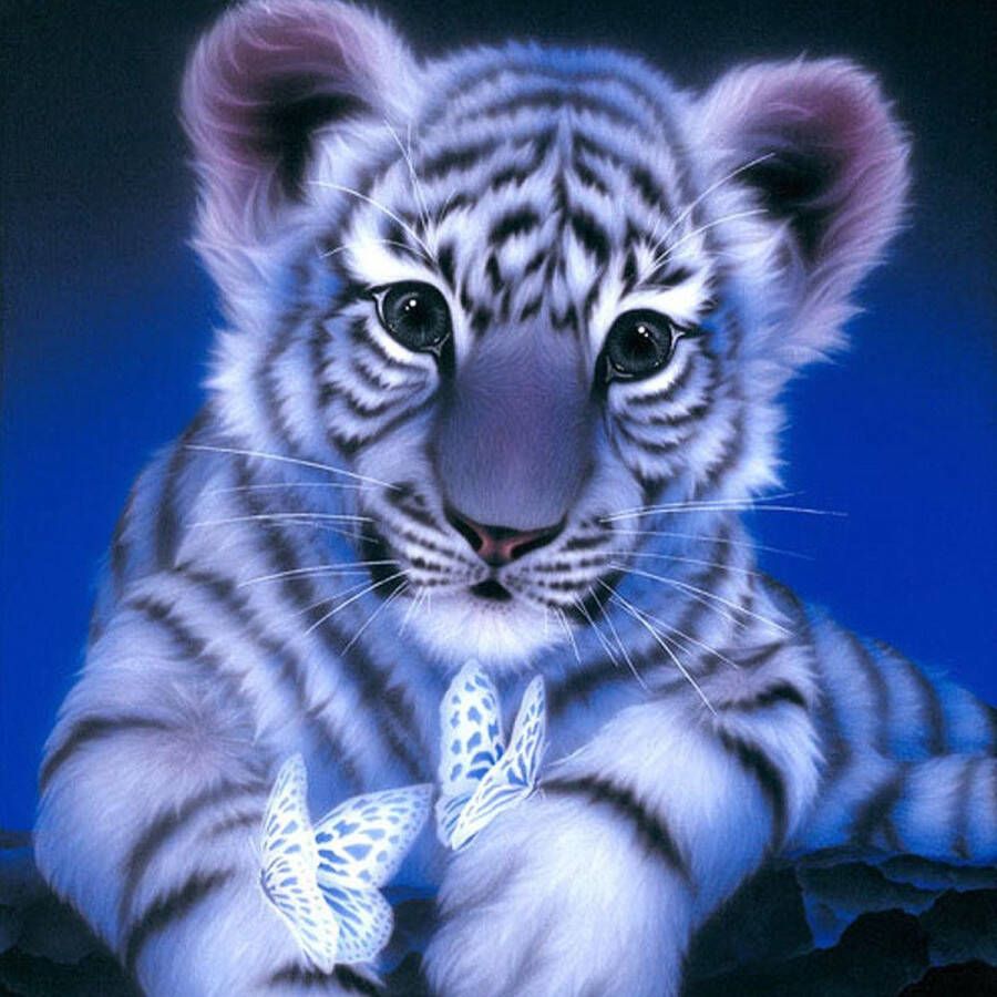 Zoëies Diamond Painting 5D met tijger 30 x 30 cm