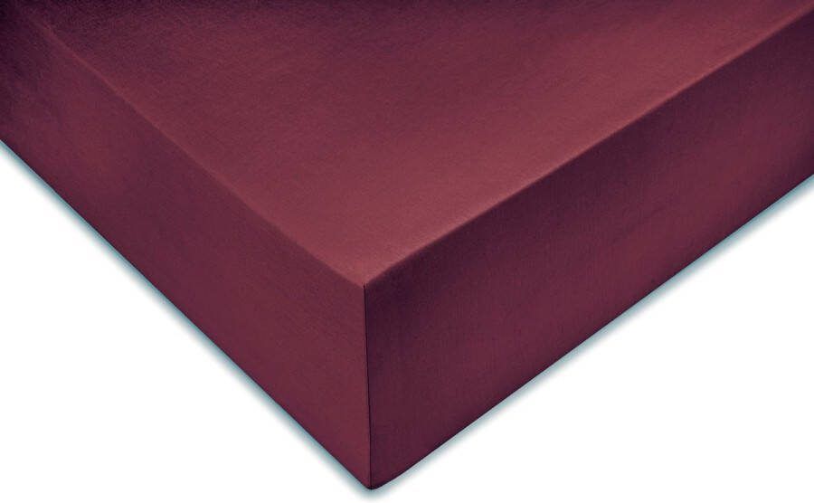 Zo Home Satinado Hoeslaken Katoen Satijn 35cm Hoekhoogte mauve lilac 90x210-220cm