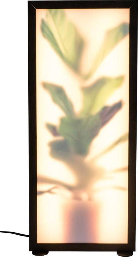 Zuiver Vloerlamp Grow Vioolbladplant 60cm Meerkleurig
