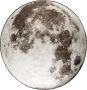 Zuiver Outdoor Vloerkleed Moon 280cm Grijs Rond - Thumbnail 1