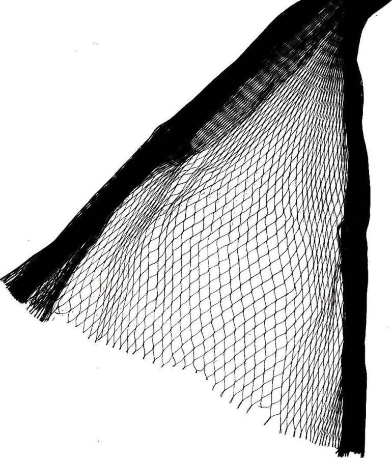 Zwartgroen Vogelnet 10 x 10 meter 15 mm maas