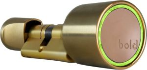 Bold Smart Lock cilinder SX-33 messing