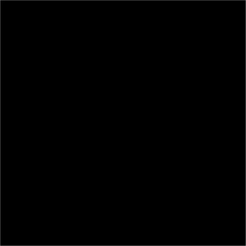 Bresser BR-9 Achtergronddoek 3x6m Zwart