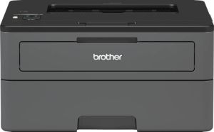 Brother Zwart wit laserprinter HL-L2375DW Compacte S W-laserprinter met duplexprint en LAN wifi