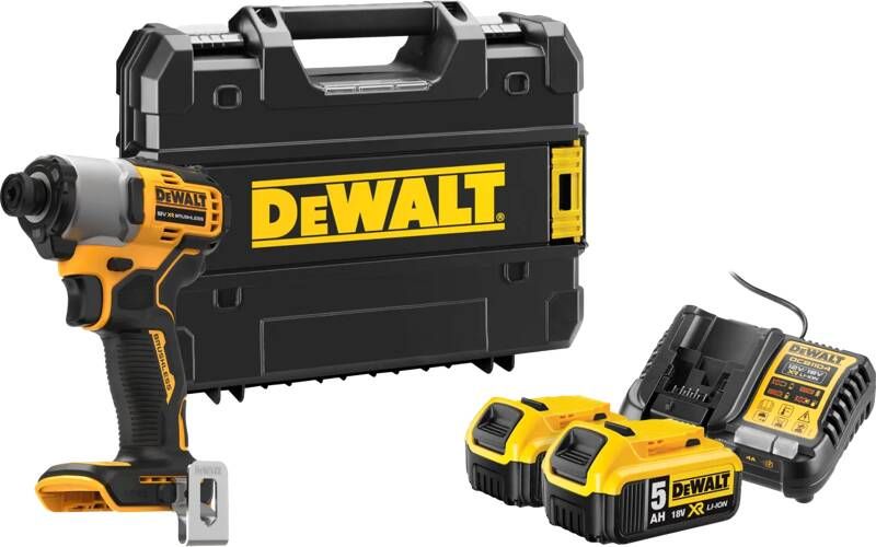Dewalt DCF840NT-XJ 5 0 Ah Accu (2x) Starterspakket