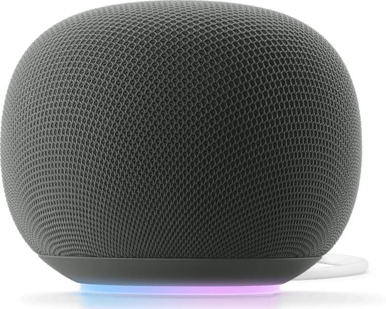 Google Home Speaker Grijs