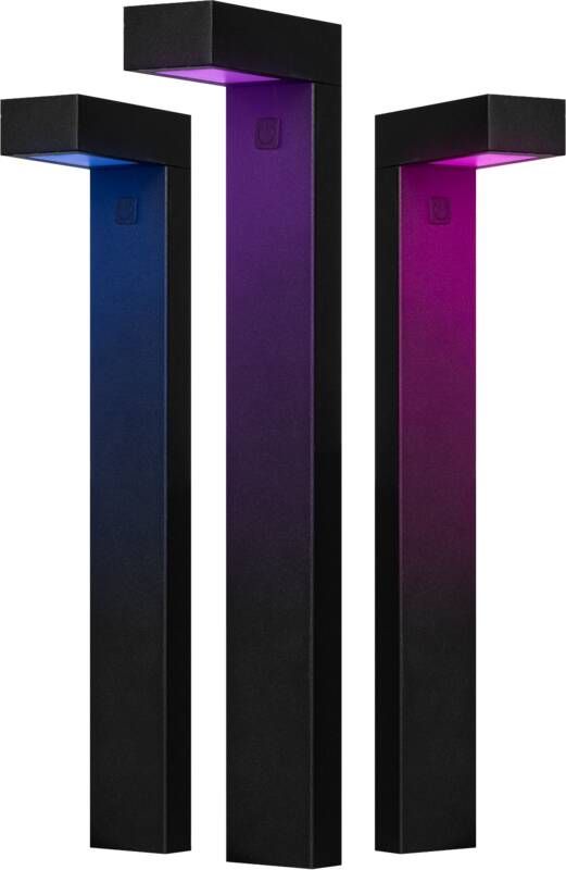Hombli Slimme Pathway Lamp- Buitenverlichting Starter Kit met 16 miljoen kleuren Zwart Tuinverlichting met Stembesturing Timerfunctie – Waterdicht Zwart