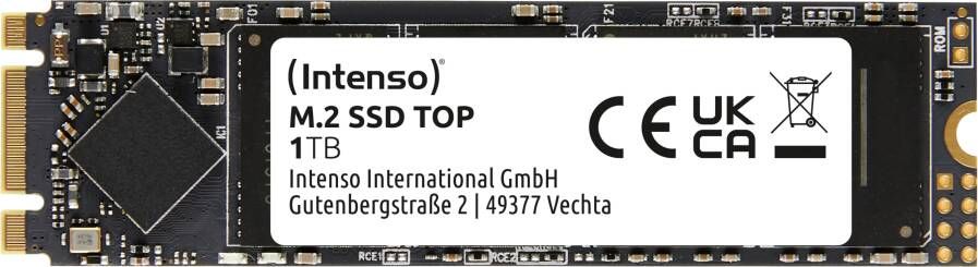 Intenso Top Performance M.2 1TB Interne SSD
