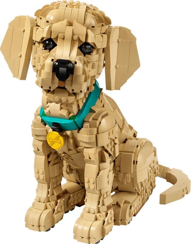LEGO Icons Golden Retriever Puppy Bouwpakket met Dieren Figuur 11384