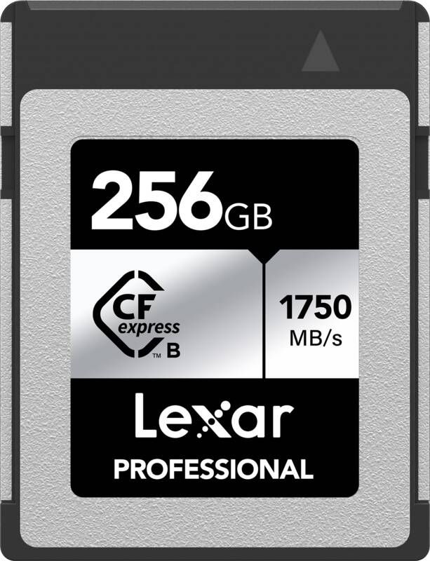 Lexar CFexpress Professional 1000MB s 256GB | CFe kaarten | Computer&IT Data opslag | 0843367124596