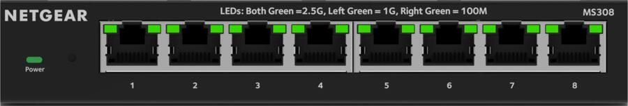 Netgear MS308