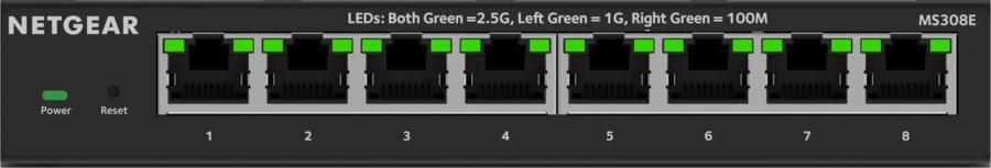 Netgear MS308E