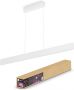 Philips Hue Ensis Hanglamp White and Color Ambiance Wit 2 x 39W Bluetooth - Thumbnail 1