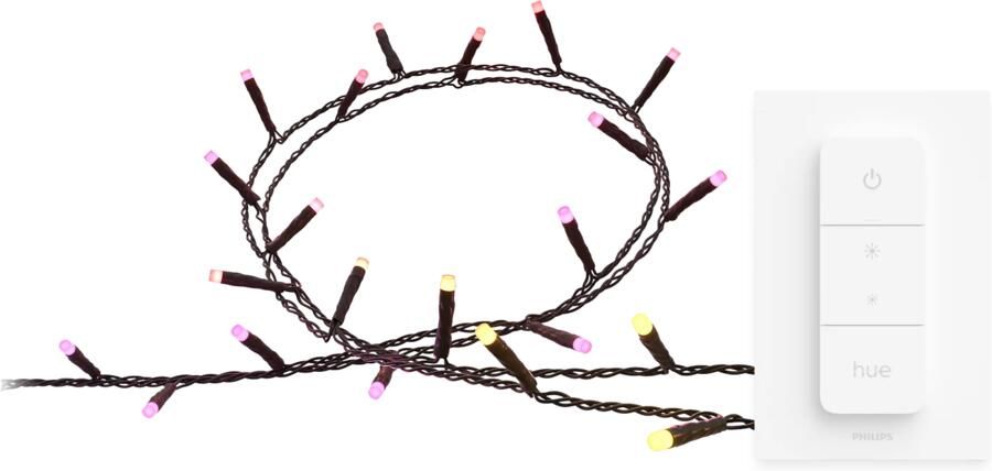 Philips Hue Festavia Lichtsnoer 40 meter 500 LEDs + Dimmer