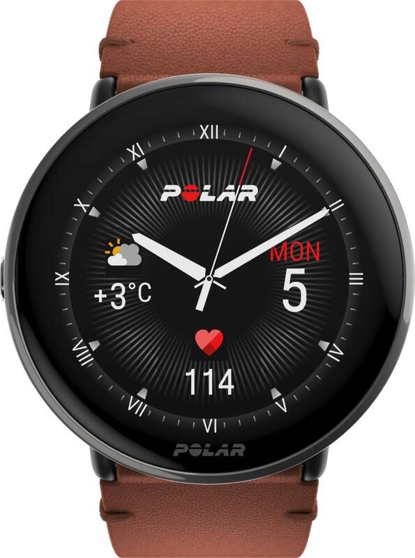 Polar Ignite 3 Titanium Bruin