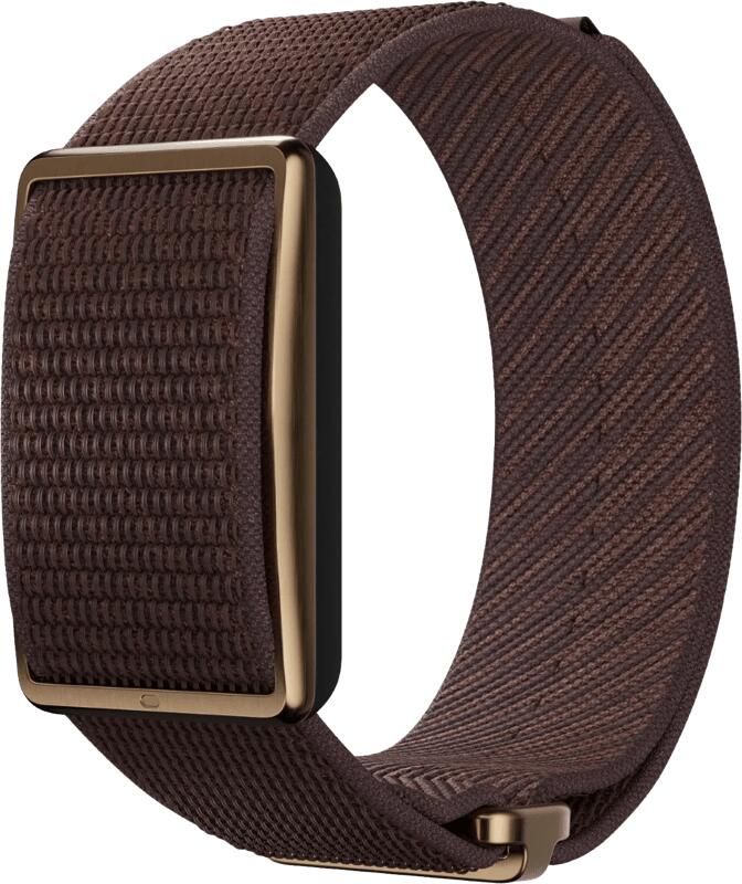 Polar Loop Bruin