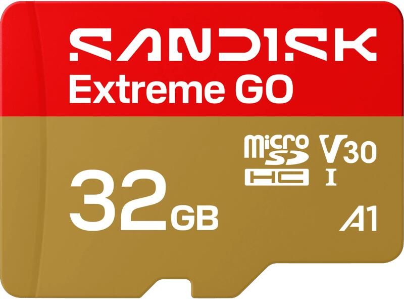 Sandisk Extreme GO microSDHC 32GB 100MB s