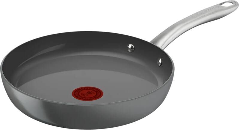 Tefal Pan C4240253 Grijs Aluminium Ø 20 cm