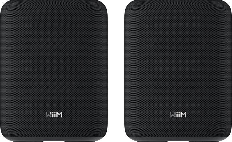WiiM Sound Lite Twin Zwart